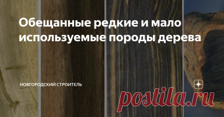 Обещанные редкие и мало используемые породы дерева Несмотря на честную попытку автора перечислить все породы - разумеется, миссия оказалась невыполнимой :) Так что продолжение следует, в этом материале будет информация о тех породах, которые упомянуты в комментариях к предыдущим четырем статьям: Породы отечественной древесины: вид, характеристики, применение. Часть 1 Породы отечественной древесины. Часть 2 Породы отечественной древесины. Часть 3 Породы отечественной древес...