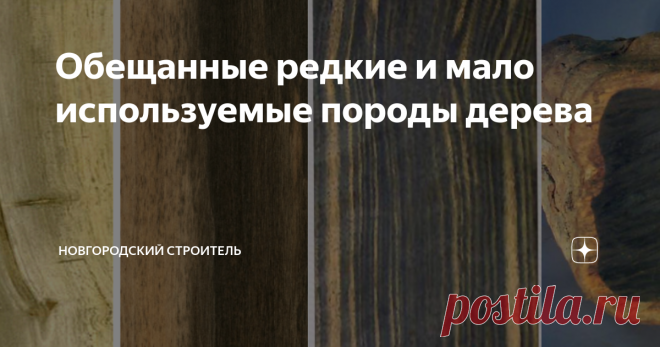 Обещанные редкие и мало используемые породы дерева Несмотря на честную попытку автора перечислить все породы - разумеется, миссия оказалась невыполнимой :) Так что продолжение следует, в этом материале будет информация о тех породах, которые упомянуты в комментариях к предыдущим четырем статьям: Породы отечественной древесины: вид, характеристики, применение. Часть 1 Породы отечественной древесины. Часть 2 Породы отечественной древесины. Часть 3 Породы отечественной древес...