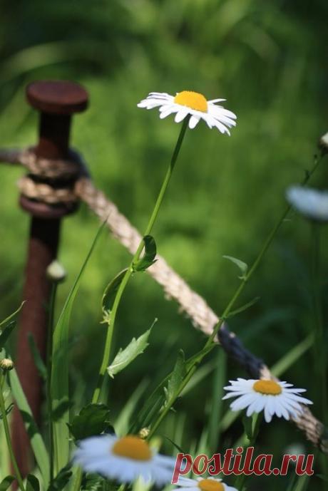 Иногда нужно делать паузы. От них мысли становятся свежее и глубже. Встречи ценнее. Жизнь желаннее.
Элина Арт
Фон_твоего_настроения
