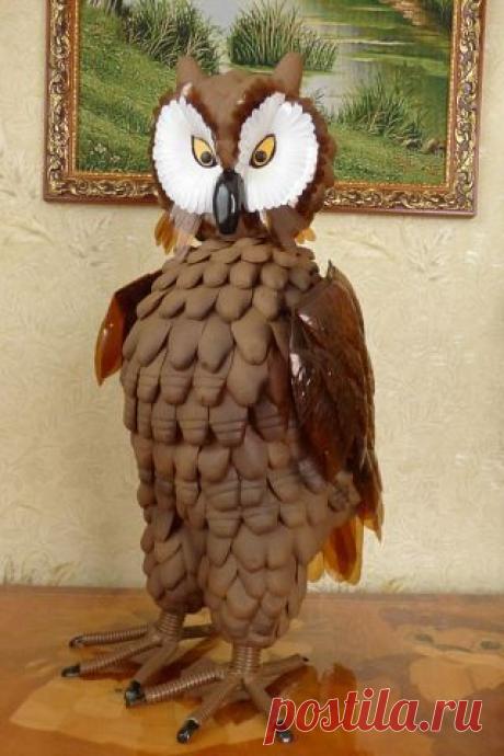 Вторая жизнь пластиковой бутылки
Татьяна Найда