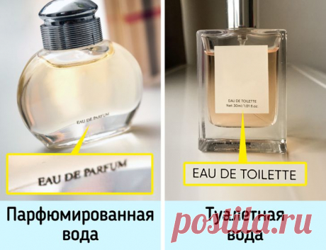 Как выбрать духи, которые будут пахнуть так, будто стоят бешеных денег / Все для женщины