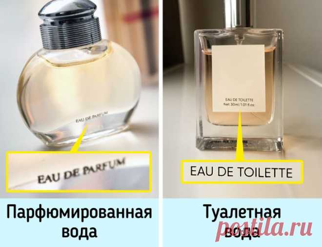 Как выбрать духи, которые будут пахнуть так, будто стоят бешеных денег / Все для женщины