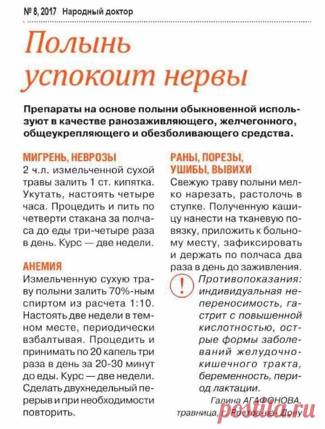 Полынь лечит