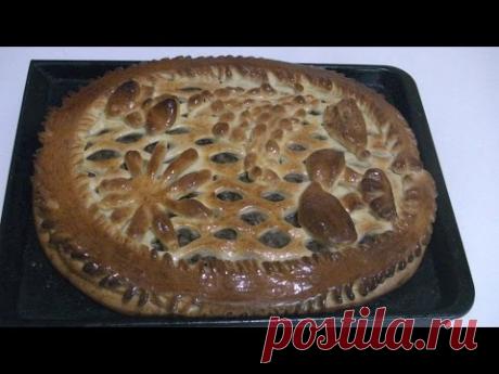 Дрожжевой пирог с грибами.