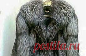 Выводим пятна с меха | Друг пенсионера
Достали из шкафа меховую одежду и обнаружили на ней грязь?