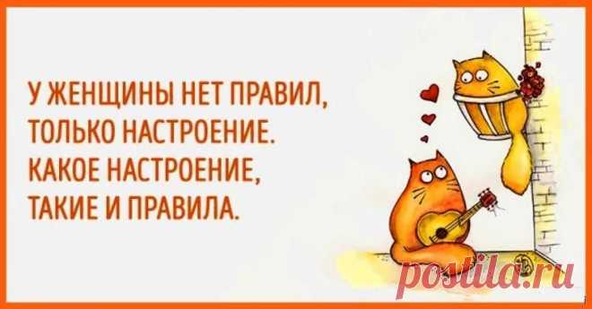 картинки позитива для поднятия настроения: 17 тыс изображений найдено в Яндекс.Картинках