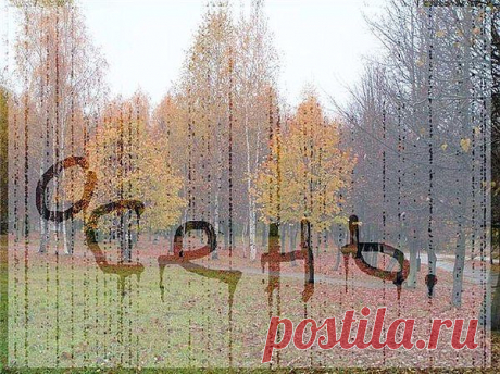 Сыграй мне музыку дождя
 По полноценным каплям-нотам.
 В листве осенней позолоты
Увижу снова я тебя.
Услышу сладостный напев
Шуршащей осени,искристой,
И прозвучит в аккордах чистых
Рапсодия любви ,паря.
Сыграй мне музыку дождя...