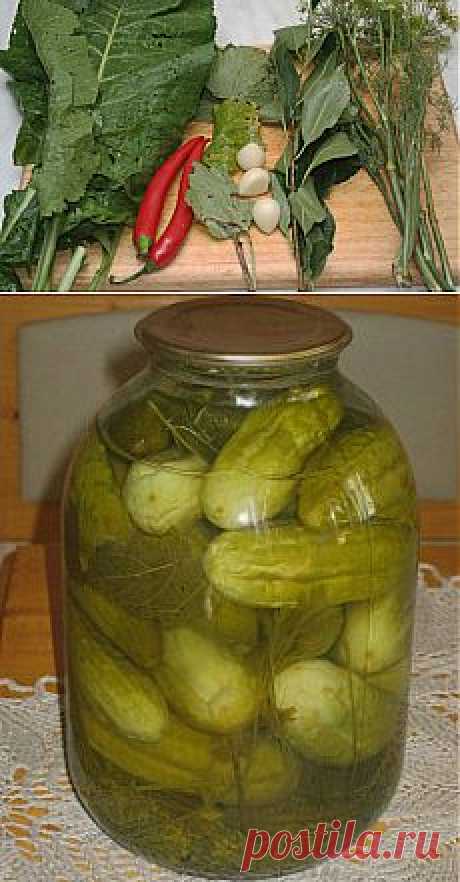 Консервированные огурцы с водкой. В банках - Рецепт заготовки | Дача своими руками