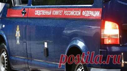 СК: в Воронеже возле мусорных баков обнаружили тело 17-летней девушки. В Воронеже возле мусорных баков обнаружили тело 17-летней девушки с признаками насильственной смерти, сообщили в Следственном комитете России по Воронежской области. Читать далее