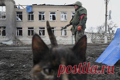 Стали известны положения мирного договора России и Украины по русскому языку. В проект мирного договора между Россией и Украиной в апреле 2022 года было включено положение, по которому Киев был обязан позволить использовать русский язык в государственной сфере и судах наравне с украинским. Отмечается, что Киев не согласился включать это положение в финальный текст документа.