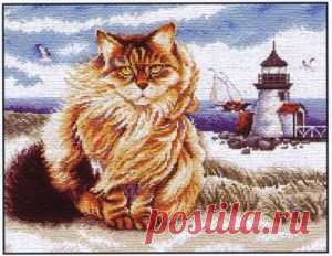 Кот Боцман.