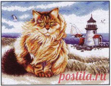 Кот Боцман.