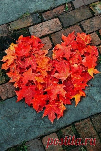 Всем хорошего дня и настроения от меня!!! Я вас всех люблю!❤