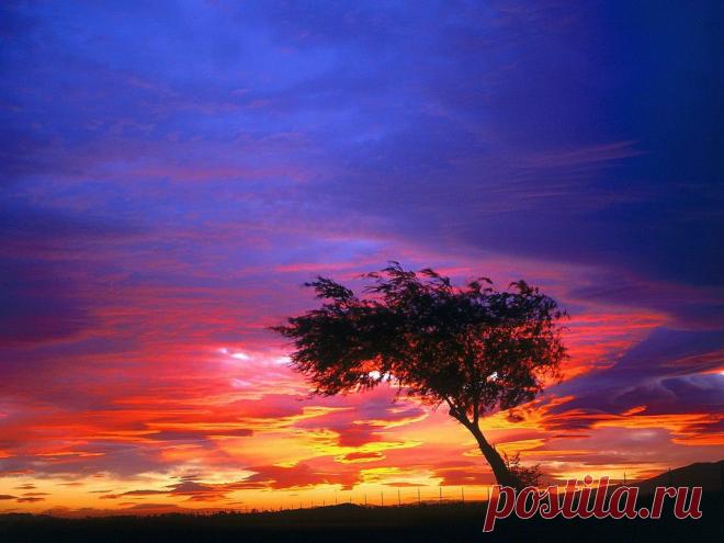 (87) Одноклассники