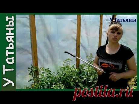СУПЕР ПОДКОРМКА для томатов, огурцов, баклажанов и растений. Удобрение из: борной кислоты, мочевины