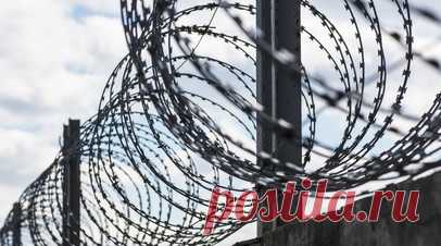 В колонии №19 в Волгоградской области восстановили правопорядок. Правоохранители восстановили правопорядок в колонии №19 в Волгоградской области, где ранее произошёл захват заложников. Читать далее