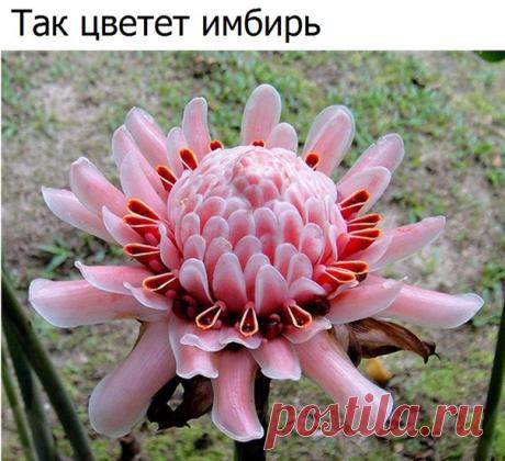 Знаете ли Вы?