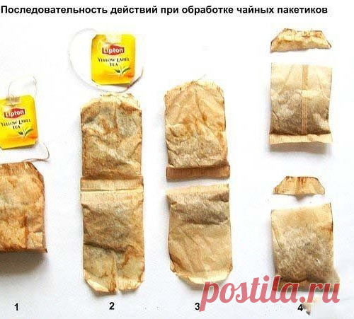 Необычный способ выращивания рассады.