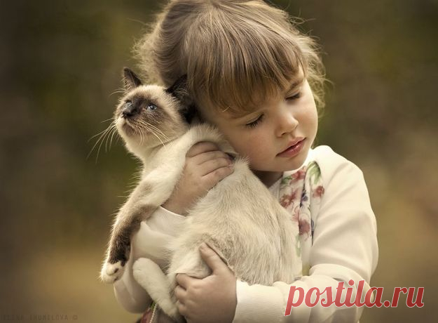Почему нельзя целовать домашних животных - FamilyBoom.ru