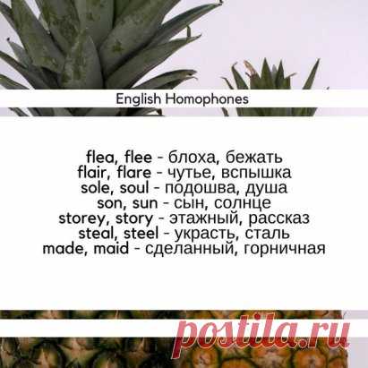 Английские омофоны - звучат одинаково, а значение разное