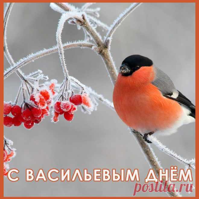 Васильев день я желаю вам отпраздновать в кругу самых близких людей, впуская колядующих и обмениваясь добрыми пожеланиями!