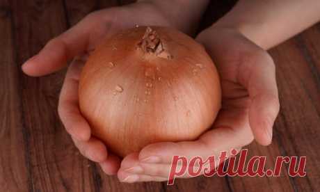 Как вырастить крупный лук из семян и из севка