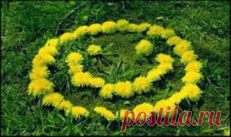 Давайте жить всегда теплом надежды!
По жизни оптимистом надо быть.
Не мучиться порой тоской безбрежной,
А вычеркнуть плохое и забыть!

Давайте делать всем вокруг презенты:
Дарить цветы, подарки, пылкий взгляд,
Преподносить любимым комплименты –
И встрече с вами каждый будет рад!

Давайте жить без горя и печали,
Улыбкой озаряя всех друзей!
Всем сердцем только нежность излучая,
Давайте жить и радовать людей!