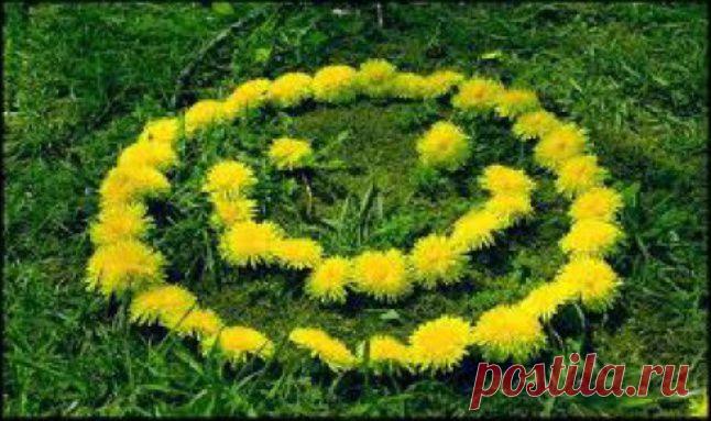 Давайте жить всегда теплом надежды!
По жизни оптимистом надо быть.
Не мучиться порой тоской безбрежной,
А вычеркнуть плохое и забыть!

Давайте делать всем вокруг презенты:
Дарить цветы, подарки, пылкий взгляд,
Преподносить любимым комплименты –
И встрече с вами каждый будет рад!

Давайте жить без горя и печали,
Улыбкой озаряя всех друзей!
Всем сердцем только нежность излучая,
Давайте жить и радовать людей!