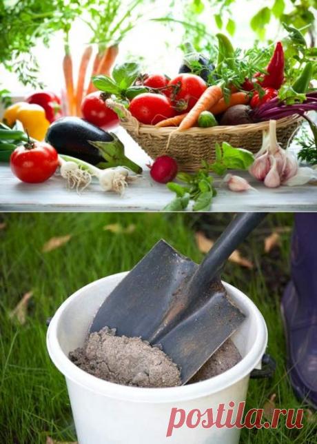 Самодельные удобрения