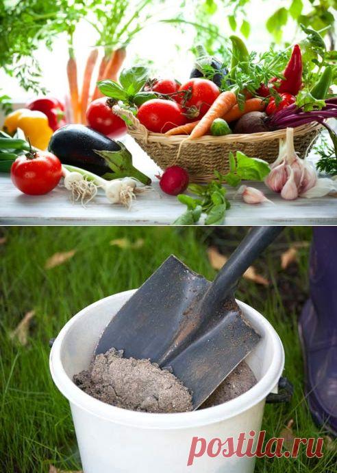 Самодельные удобрения