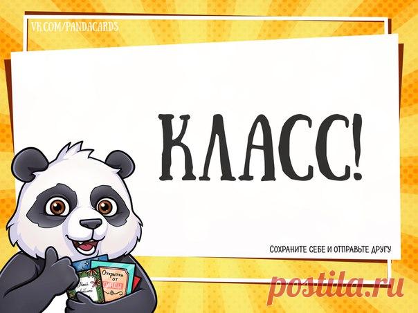 #отпанды@pandacards