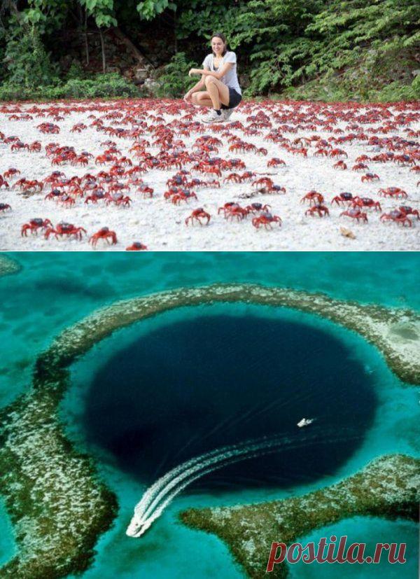 Самые удивительные природные явления