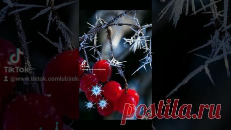 Первые заморозки - очень красиво ... Листья в серебрянной, лунной пыли ... ❄❄❄ #первыезаморозки