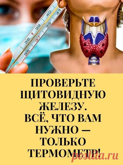 Чтобы проверить свою щитовидку, нужен только градусник!