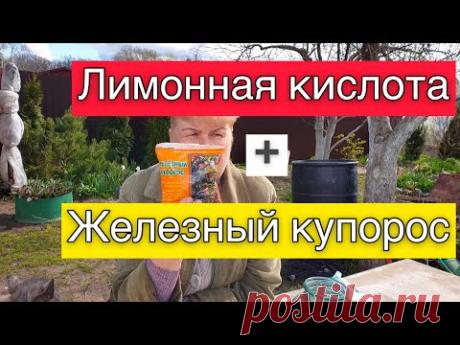 МОЩНОЕ Эффективное Средство для всех культур от всех грибковых заболеваний растений и не только