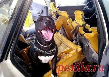 Ты ушел, а я скучал!