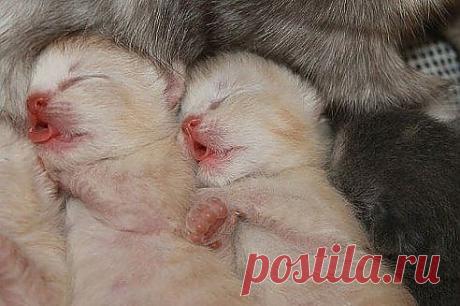 Мой Мир@Mail.Ru