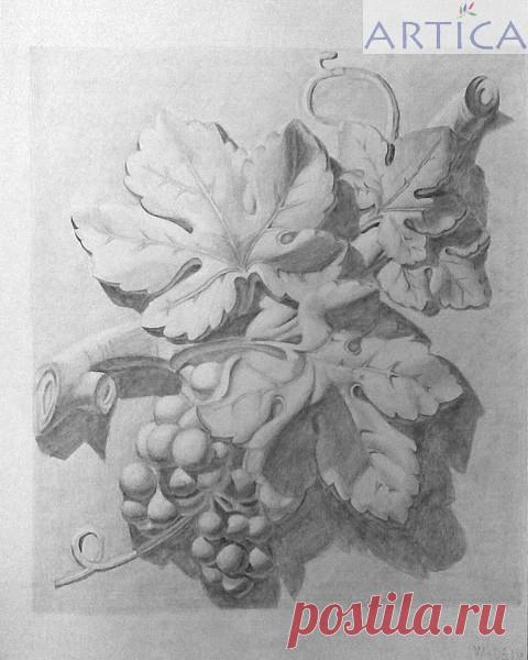 рисуем виноград - Поиск в Google