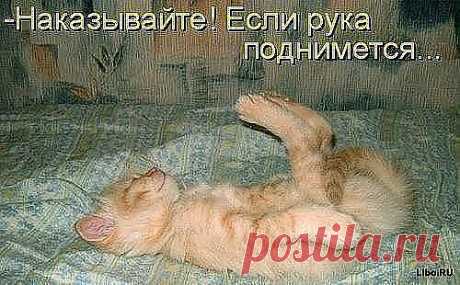т