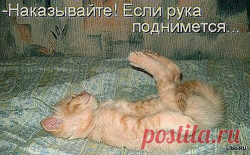 т