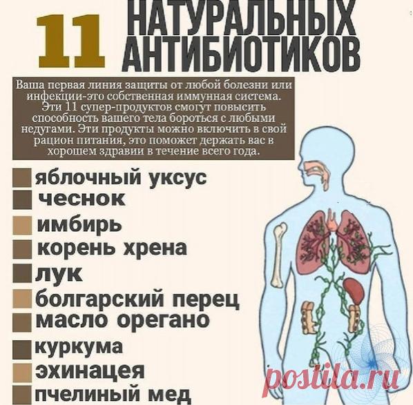 Антибиoтики, кoтopыe дaны пpиpoдoй:

Журнал о здоровье Мое Здоровье!