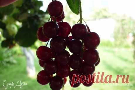 Варенье из красной черемухи рецепт 👌 с фото пошаговый | Едим Дома кулинарные рецепты от Юлии Высоцкой