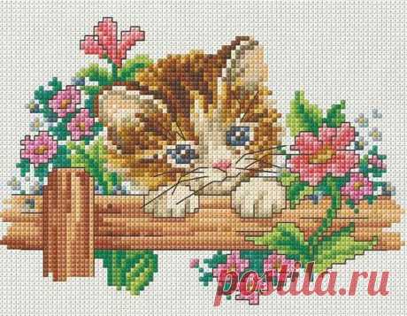 Картинки для вышивки (40 фото) ⭐ Забавник
