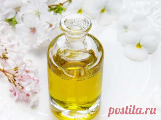 Касторовое масло в уходе за комнатными цветами По каким причинам нужно регулярно использовать касторовое масло в уходе за домашними растениями