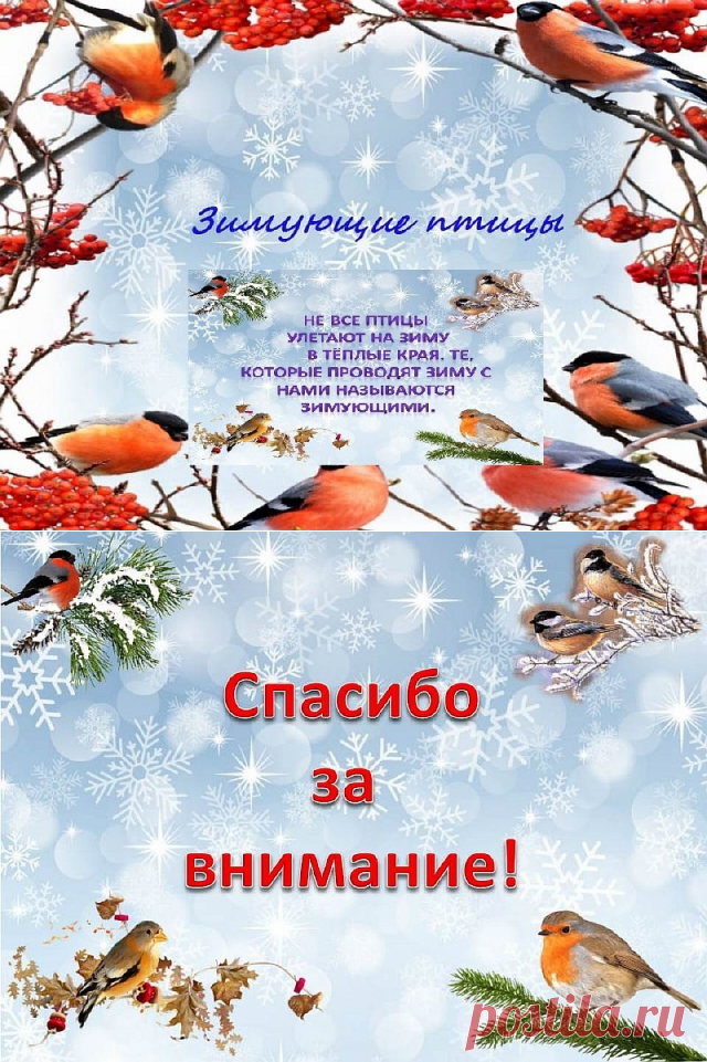 ЗИМУЮЩИЕ ПТИЦЫ.