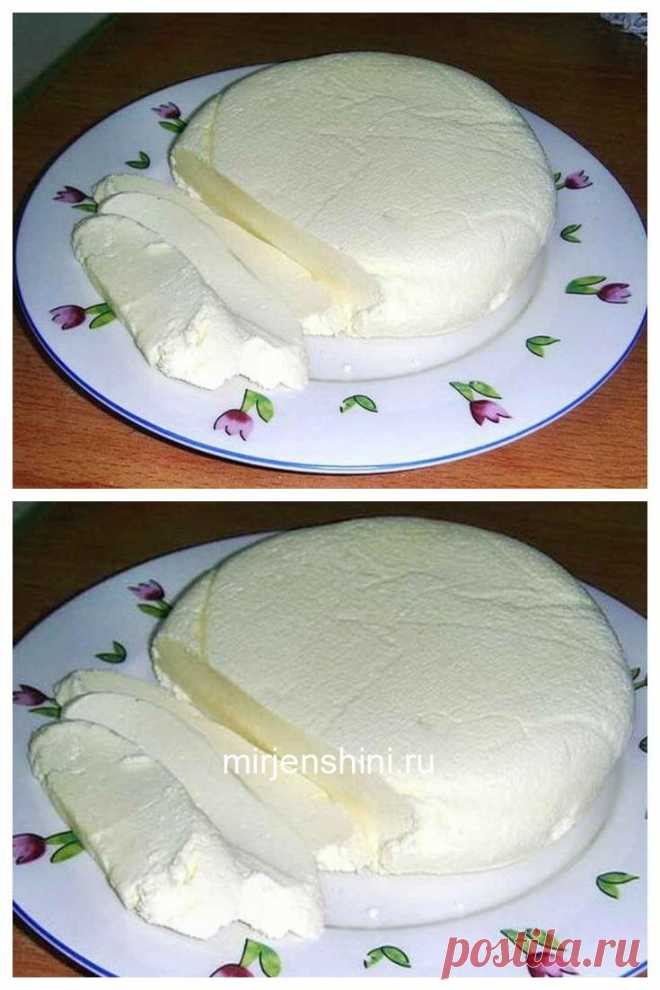 Делаем брынзу сами: из 2 л молока получаем 1 кг сыра! - Домашние хитрости