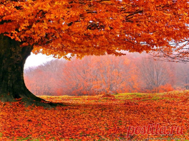 (10) Мой Мир@Mail.Ru