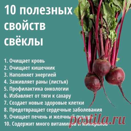 10 полезных свойств свеклы