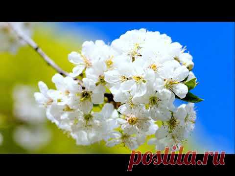 Энергетическая подзарядка. Практика на восстановление физического тела, снятие усталости. - YouTube