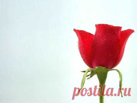 Золотая коллекция горячих и холодных соусов! Часть 2
